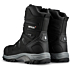 101601 Arctic