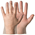 Single-Use Gloves, 10 Pair