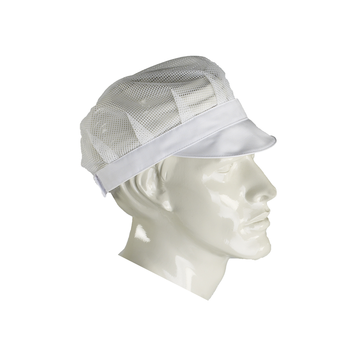Cap with hairnet