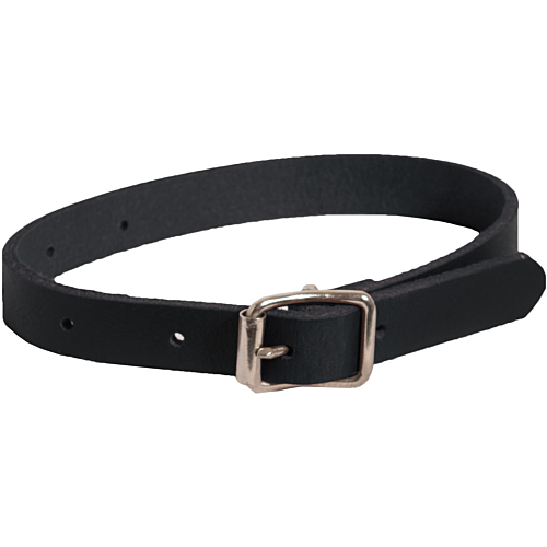 Ankle strap